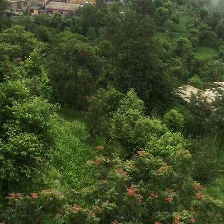 Valley View Family Unit Kasauli Luaran gambar